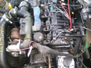 G8DB/10JB 1.6 TDI